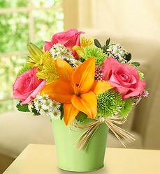 Fields of Europe in a Planter Davenport Florist - Same Day Flower Delivery - Flower Power 